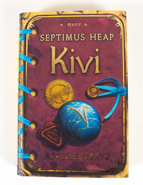 Kivi - Angie Sage - Kuva 1