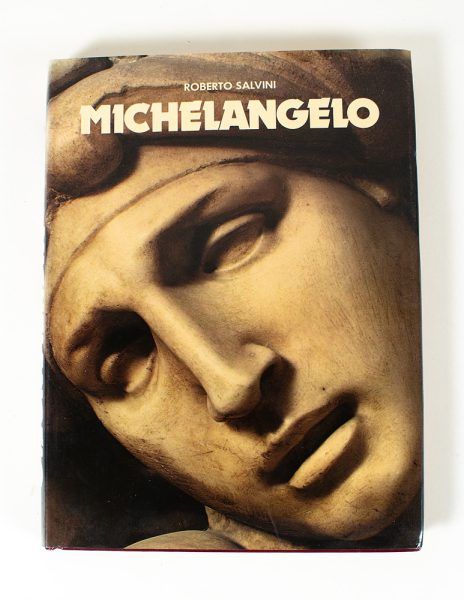 Michelangelo - Roberto Salvini - Kuva 1