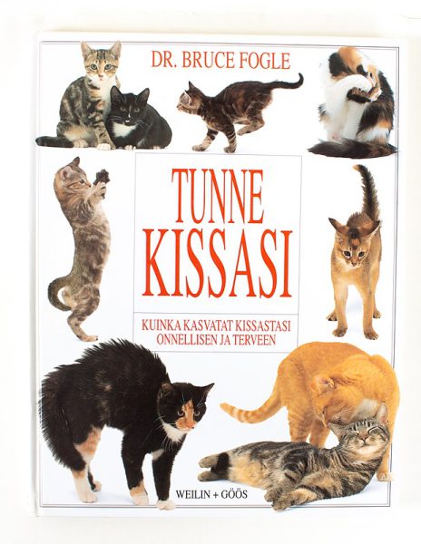 Tunne kissasi