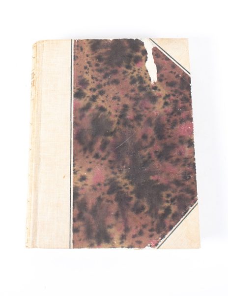 Kotiliesi Kolmas Vuosikerta 1925 - Kuva 1