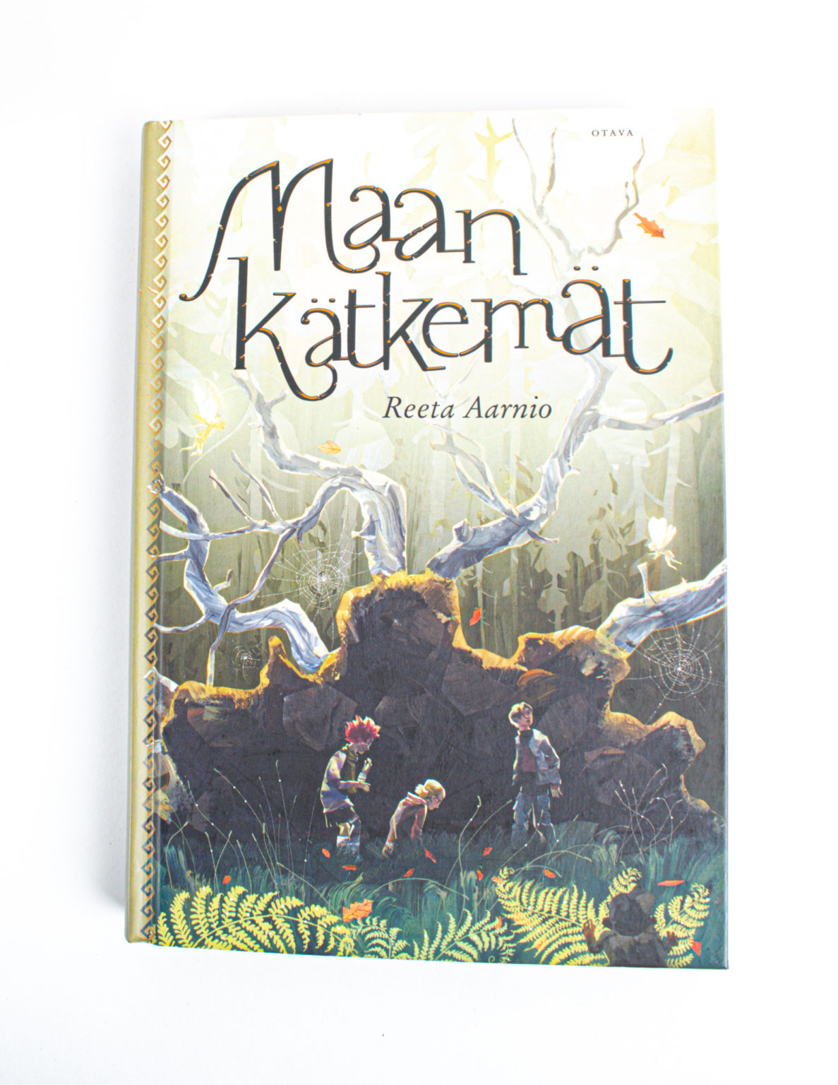 Maan kätkemät - Reeta Aarnio