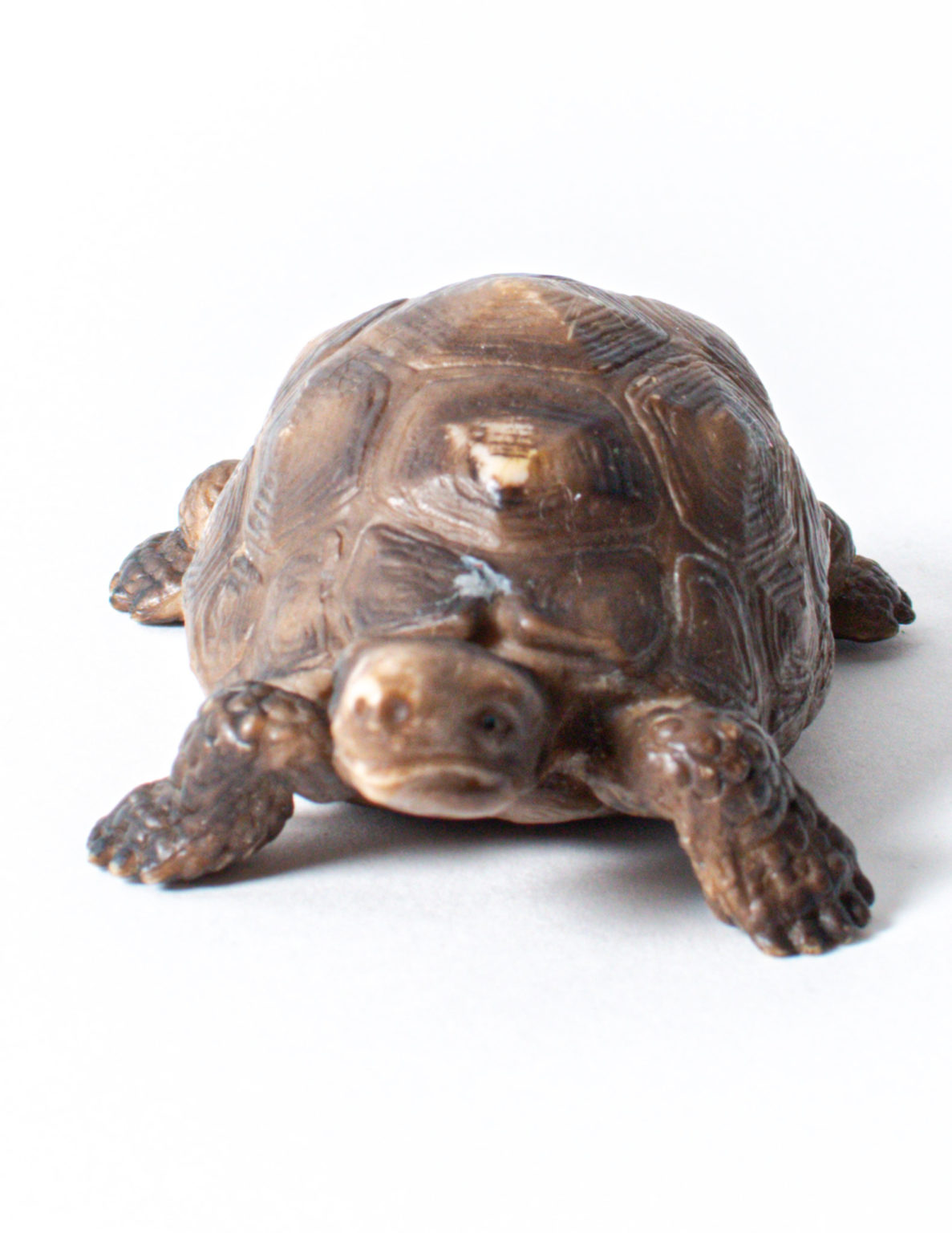 Schleich kilpikonna