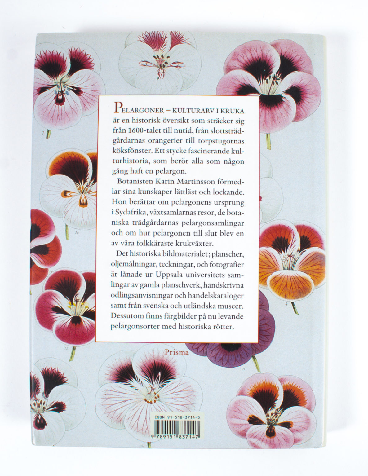 Pelargoner : kulturarv i kruka - Karin Martinsson - Image 3