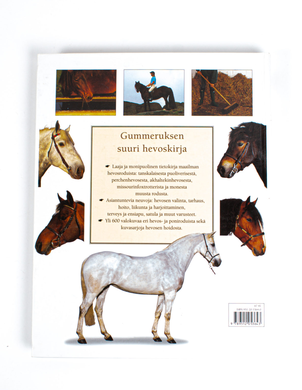 Suuri hevoskirja : Hevosrodut ja hevosten hoito - Judith Draper - Image 2