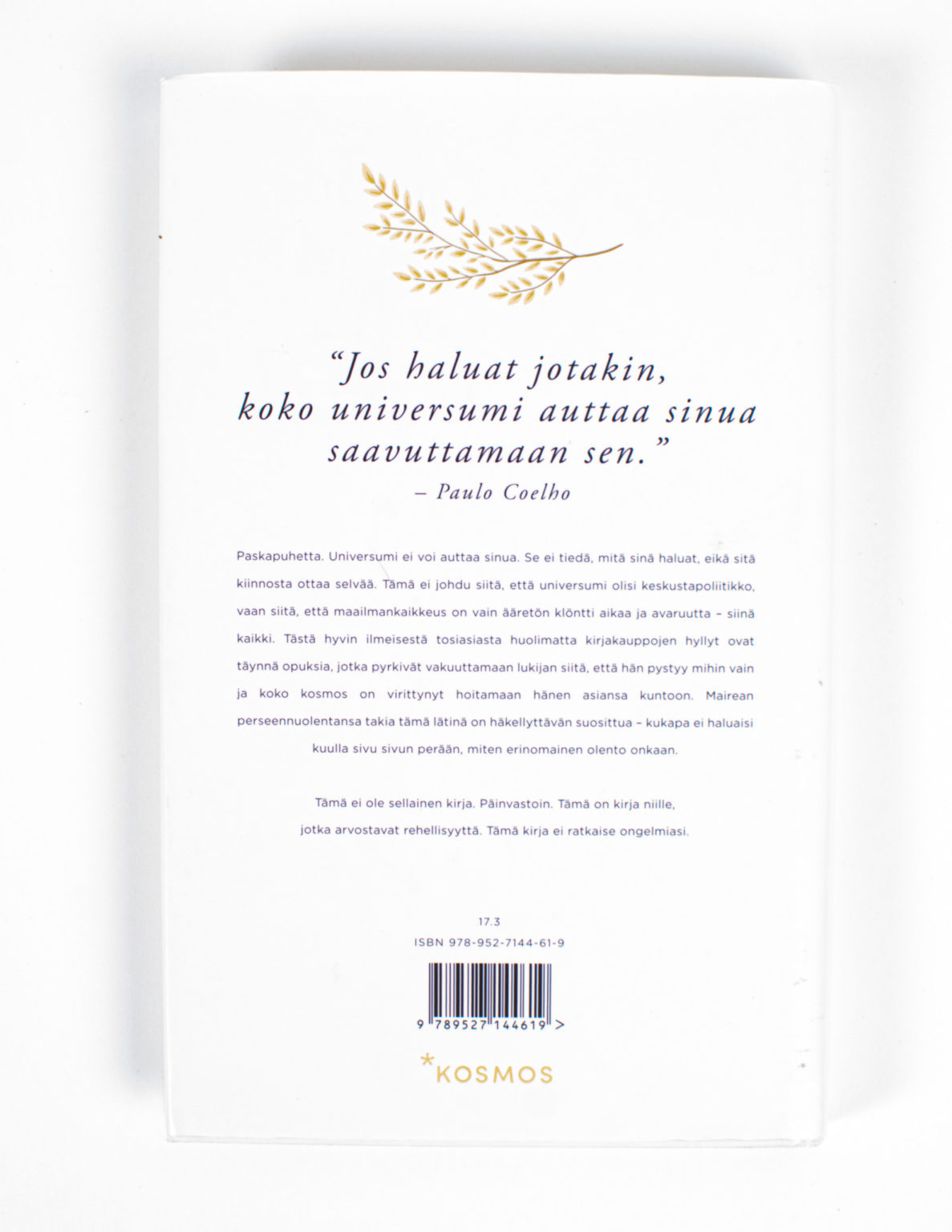 Menisit ennemmin terapiaan : rehellinen self help -kirja - Image 2