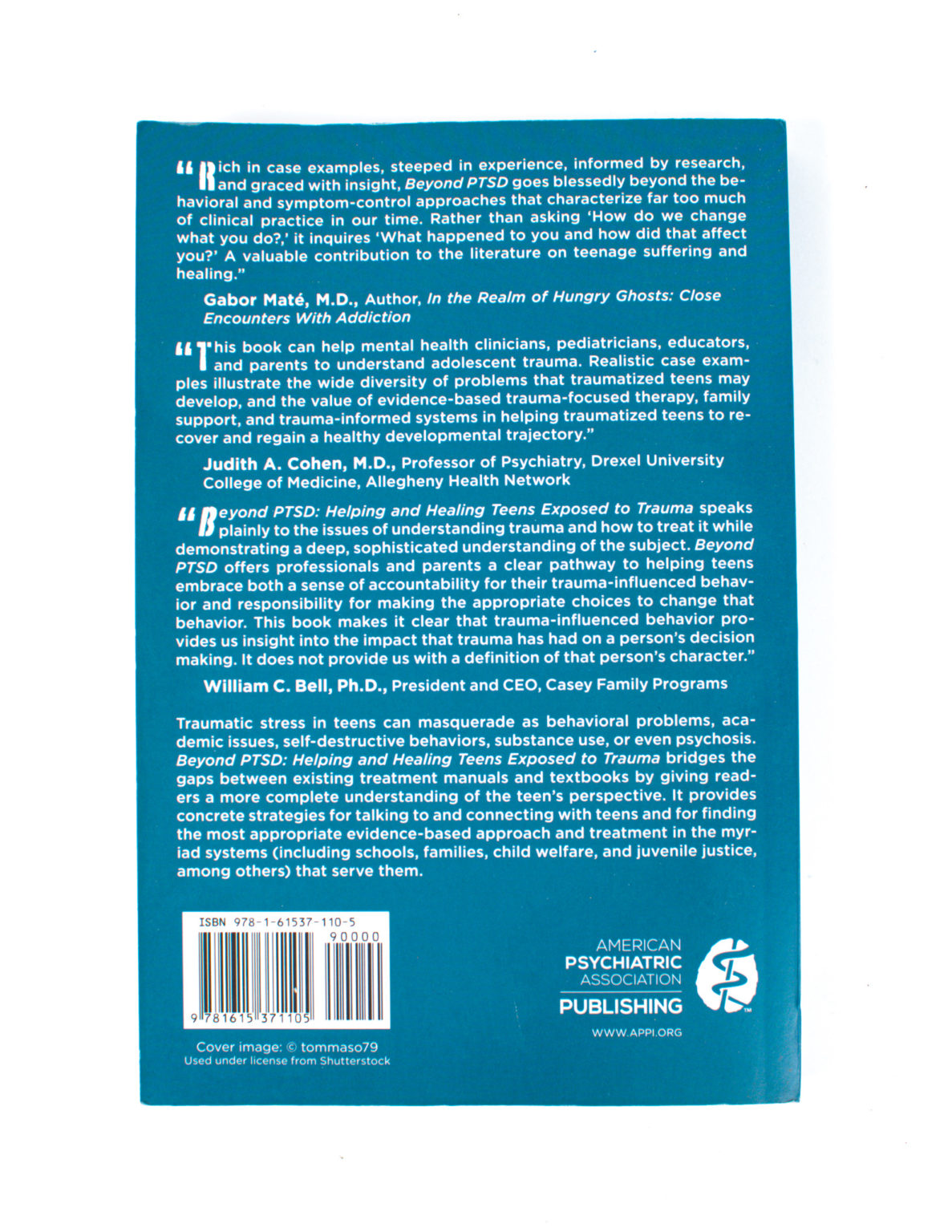 Beyond PTSD : Helping and Healing Teens Exposed to Trauma - Ruth Gerson, Patrick Heppell - Image 2