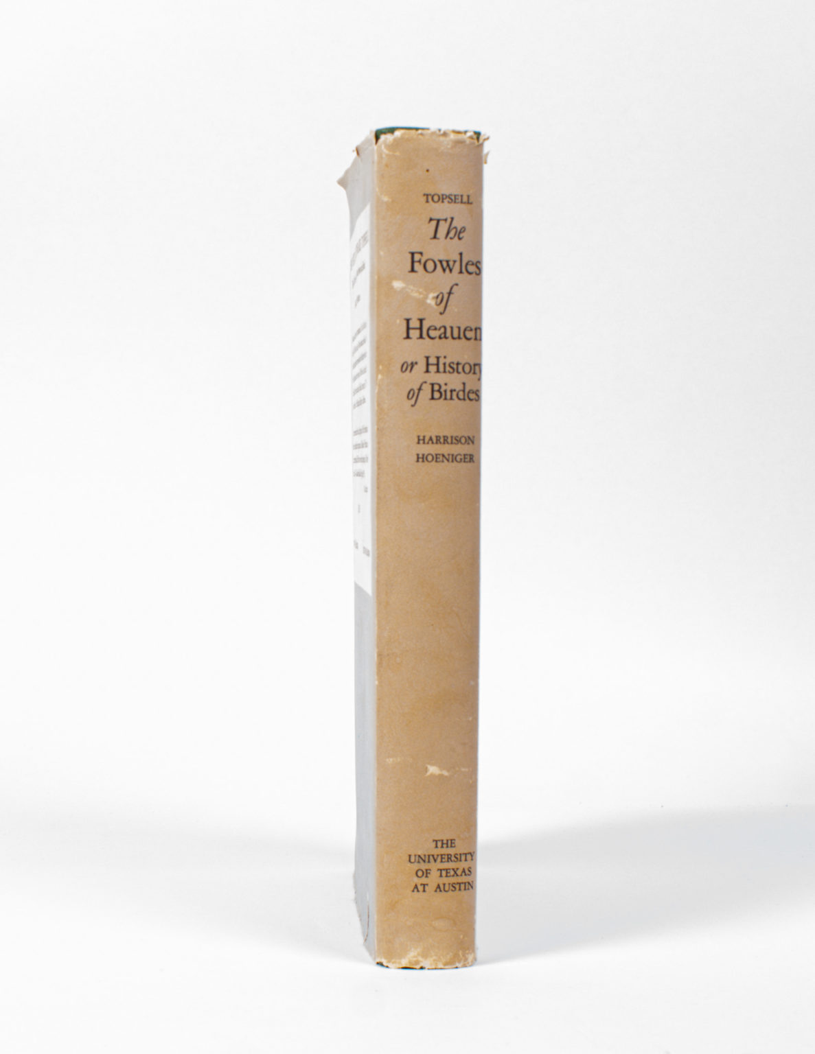 The Fowles of Heauen or History of Birds - Edward Topsell - Image 3