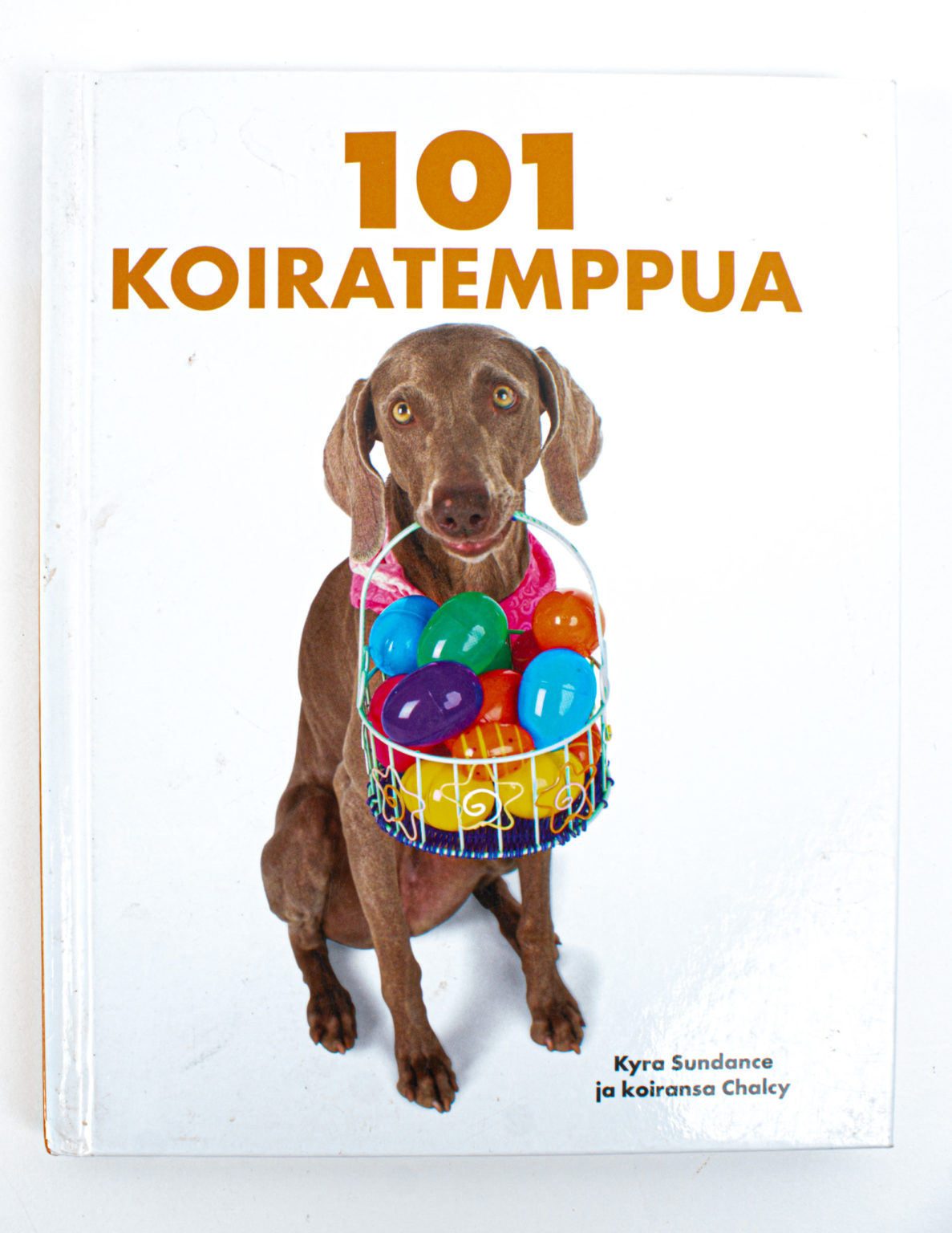 101 koiratemppua : aktiviteetteja ja virikkeitä koirasi haastamiseen ja läheisen suhteen luomiseen vaihe vaiheelta kuvattuna