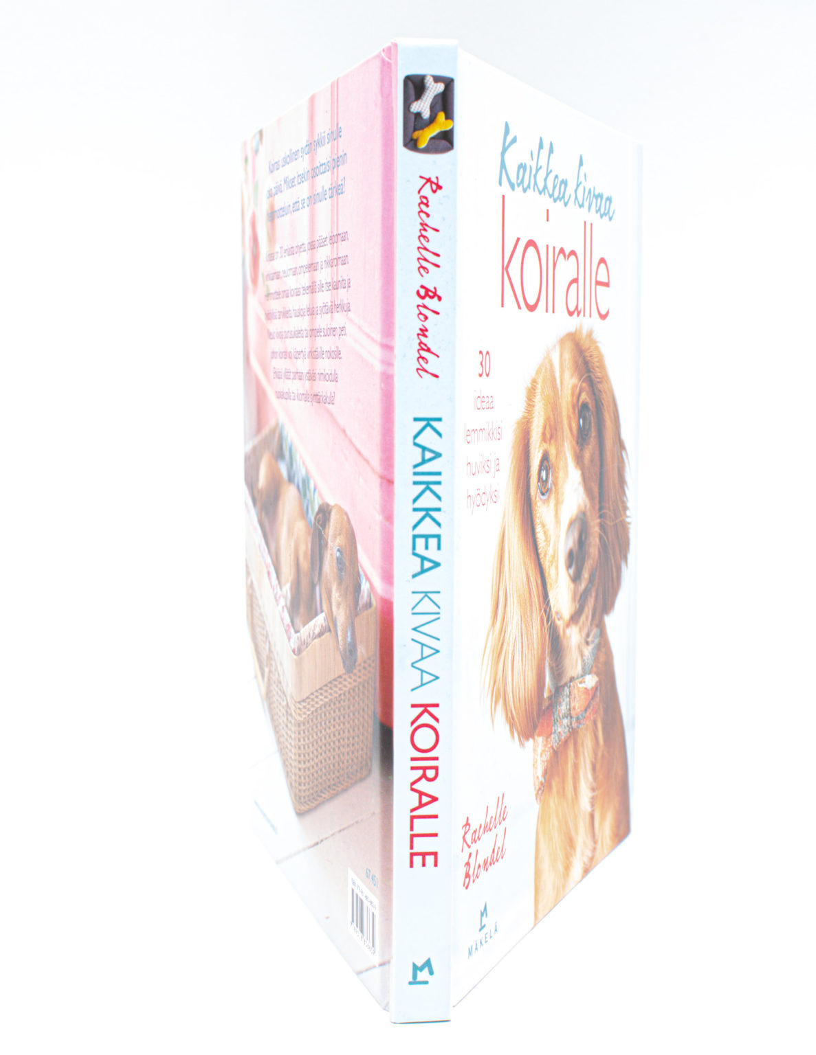 Kaikkea kivaa koiralle : 30 ideaa lemmikkisi huviksi ja hyödyksi - Rachelle Blondel - Image 3