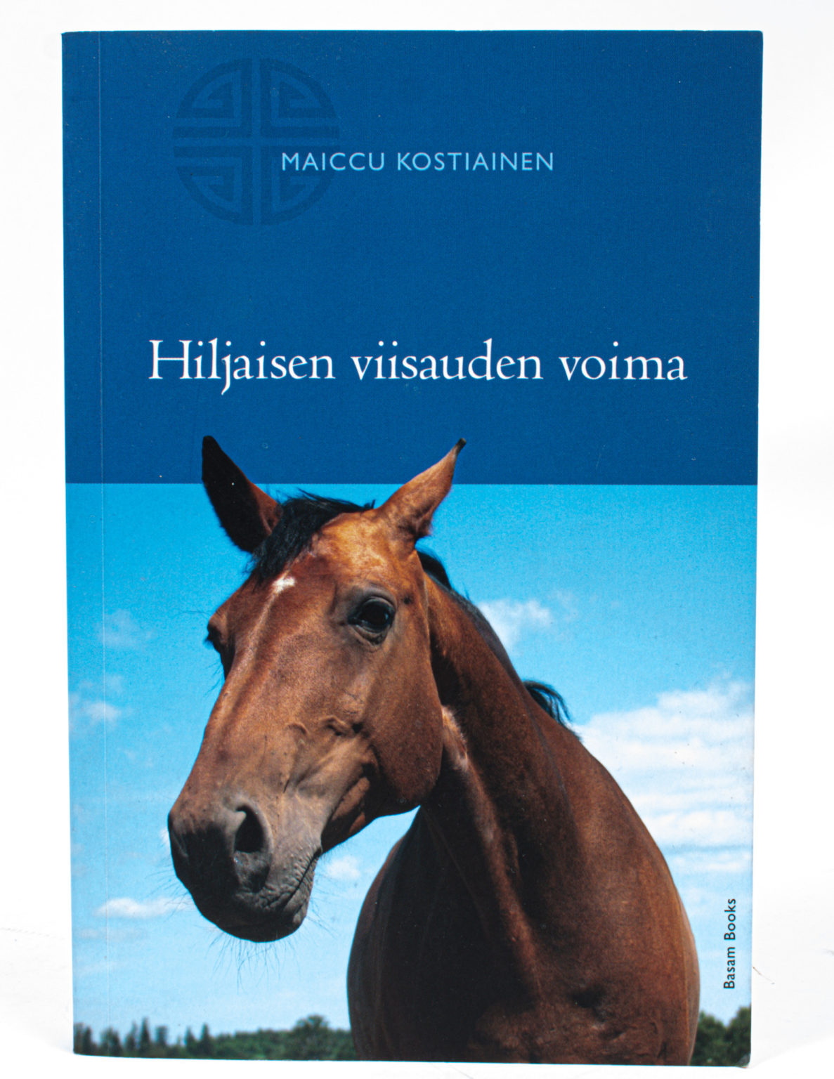 Hiljaisen viisauden voima - Maiccu Kostiainen