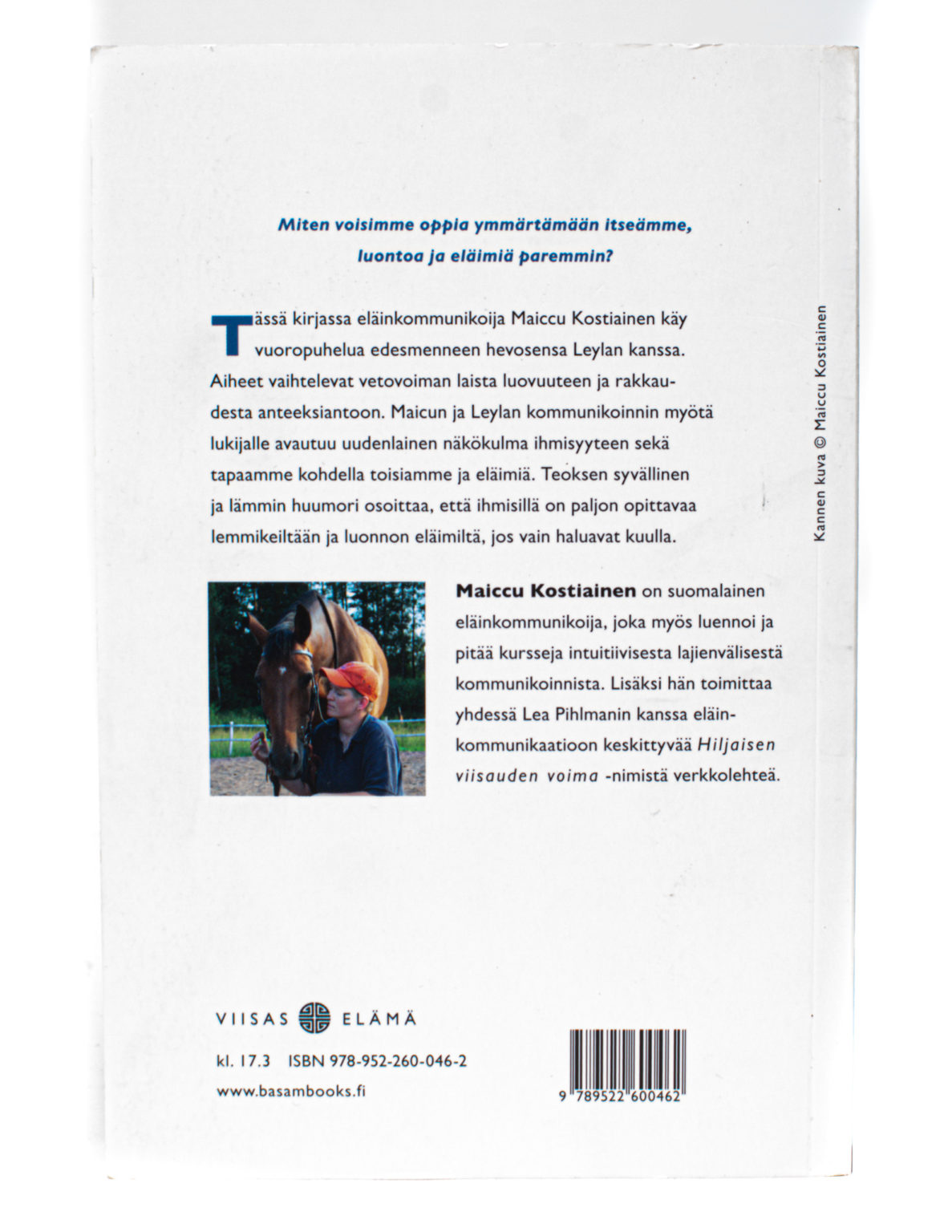 Hiljaisen viisauden voima - Maiccu Kostiainen - Image 3