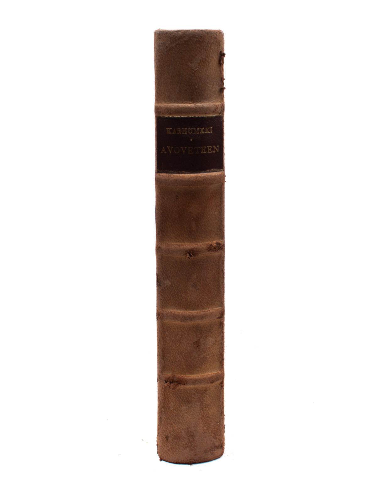 Avoveteen - Urho Karhumäki - Image 3