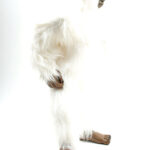 Lumimies/Jeti/Yeti lelu