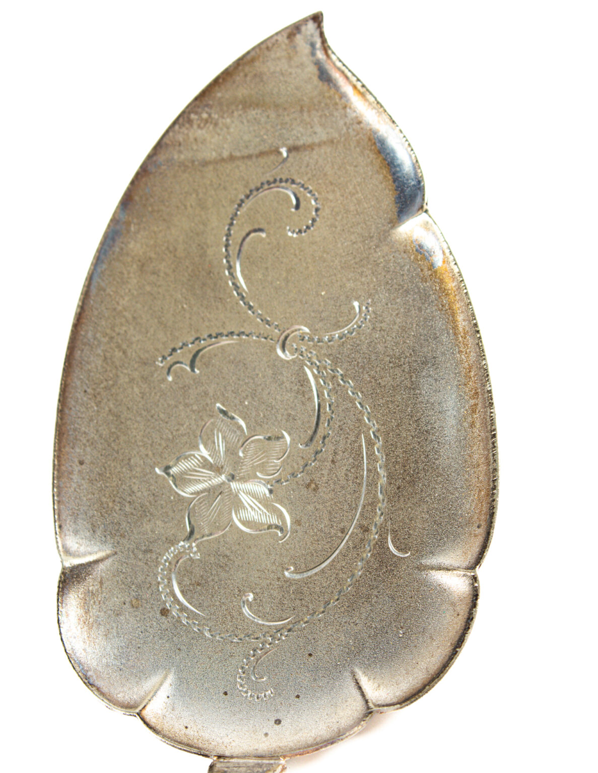Alpakka Kakkulapio - Image 6