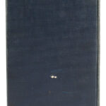 Wilderness scout - Daniel Boone