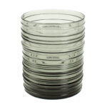 Nuutajärven Rustica Juomalasit 5kpl ( Kaj Franck)