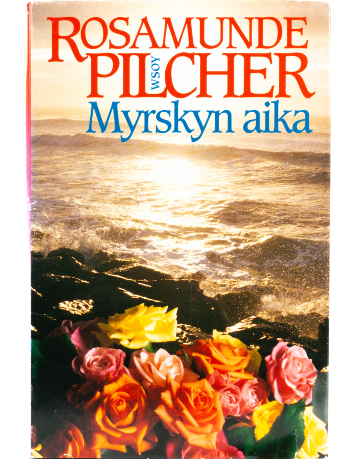 Myrskyn aika - Rosamunde Pilcher