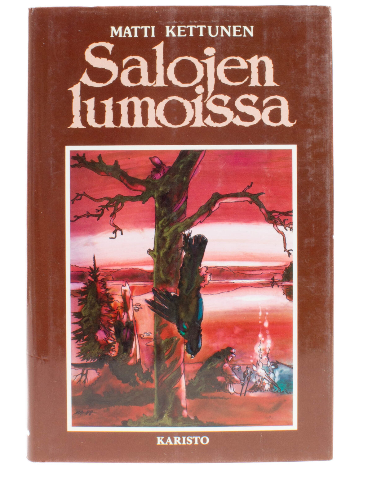 Salojen lumoissa -Matti Kettunen
