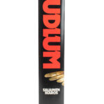 Salainen Ikaros - Rober Ludlum