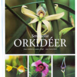 Sensuella orkidéer - Peter Göttfert & Anders Wigh