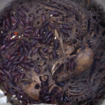 Pronssitettu kuriositeettinen karahvi, 29 cm.