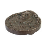 Mikael Agricolan "Oma kieli, oma mieli" mitali