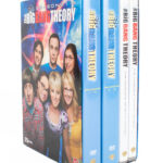 Rillit huurussa/Big Bang Theory kaudet 1-8 (DVD)