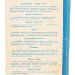 Lastuja - Juhani Aho