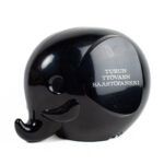 Maxi Fantti säästölipas