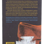 Toiset Kengät - Hannu Väisänen